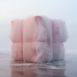 luisacharlottegassmann