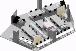 luisacharlottegassmann