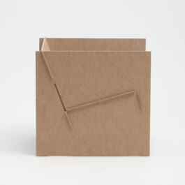 luisacharlottegassmann